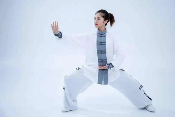 太极拳 易筋经