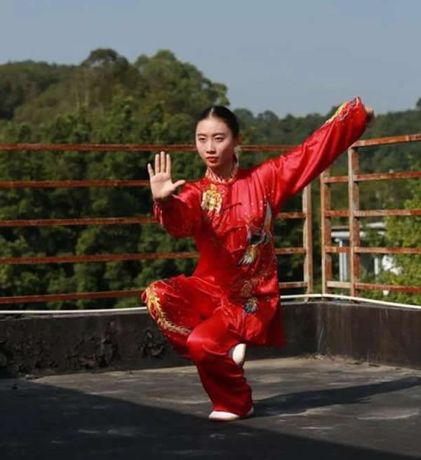 太极拳 易筋经