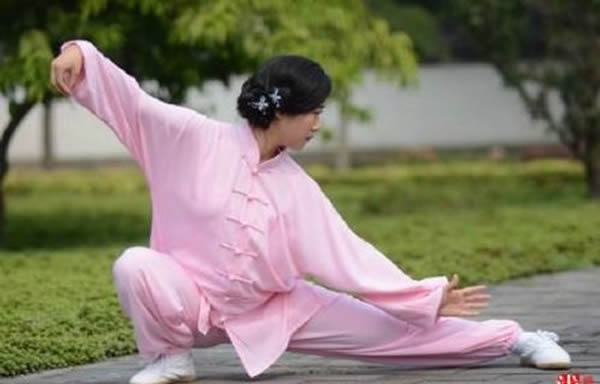 太极拳 易筋经