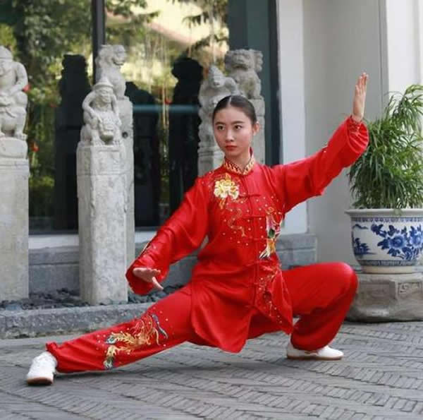 太极拳 易筋经