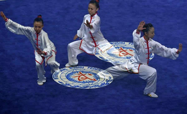 太极拳 易筋经