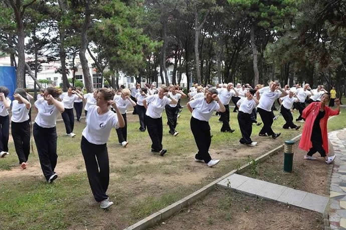 太极拳 易筋经