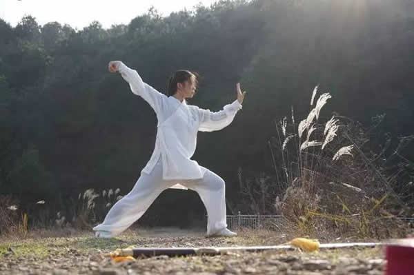 太极拳 易筋经