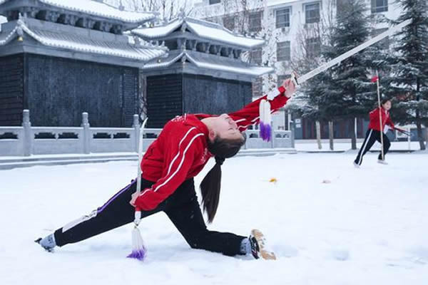 武校 武术