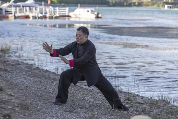 形意拳 易筋经