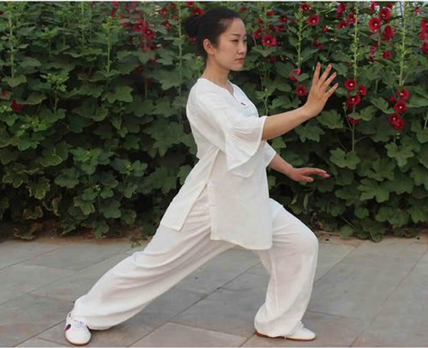 形意拳 易筋经
