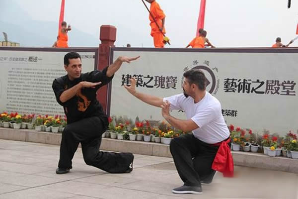 形意拳 易筋经