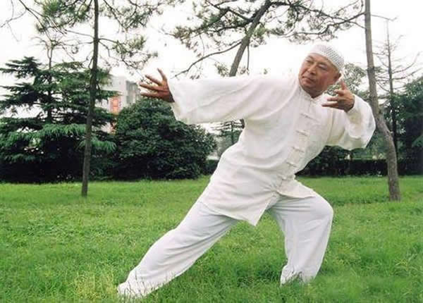 形意拳 易筋经