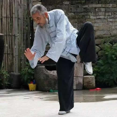 形意拳 易筋经