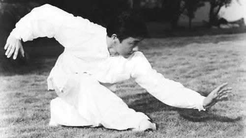 形意拳 易筋经