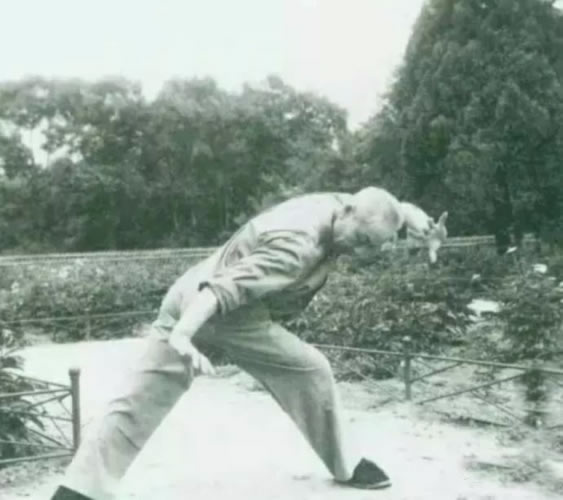 形意拳 易筋经
