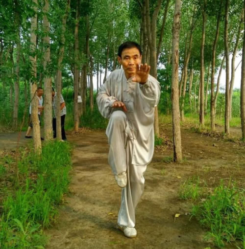 形意拳 易筋经