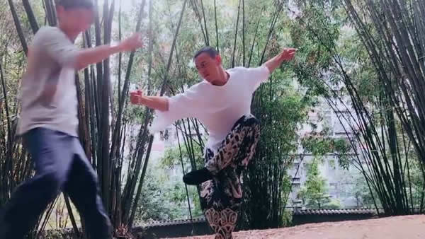 心意把 易筋经