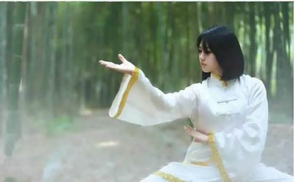 心意把 易筋经