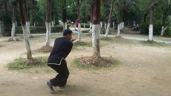 心意把 易筋经