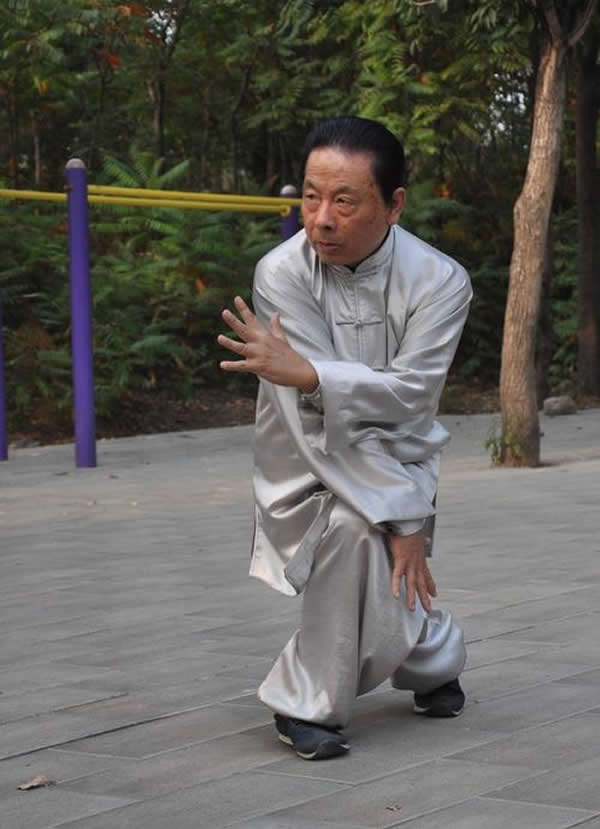 心意把 易筋经