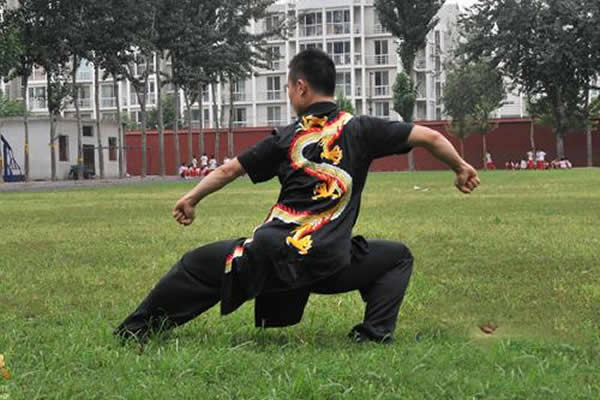 心意把 易筋经