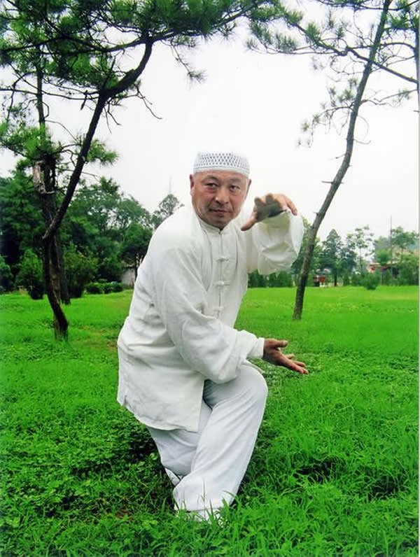 心意把 易筋经