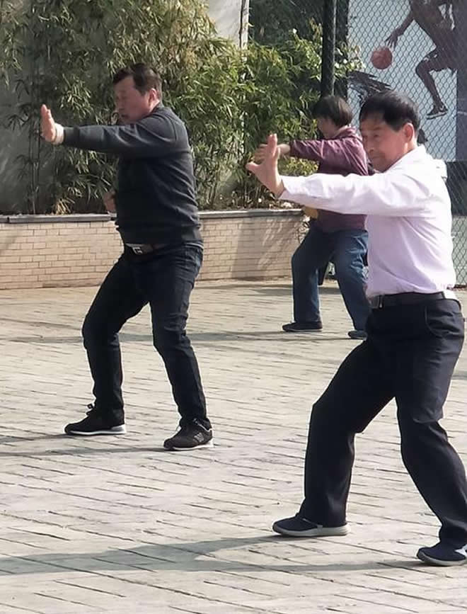 洗髓经 易筋经