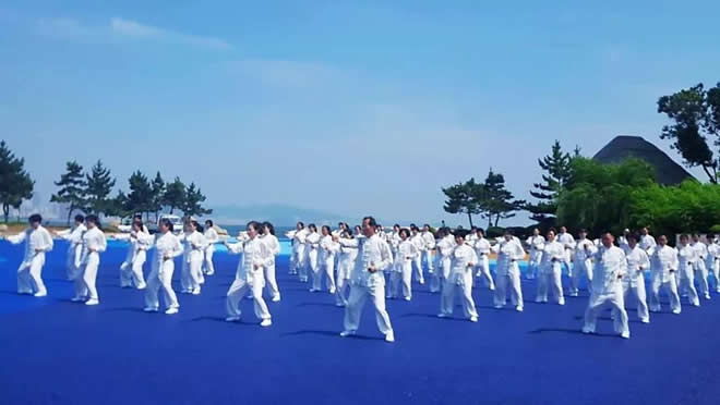 洗髓经 易筋经