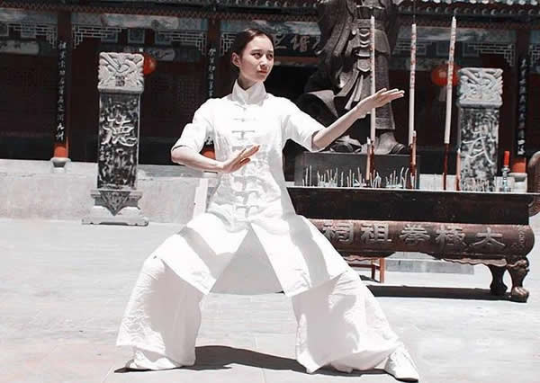 洗髓经 易筋经