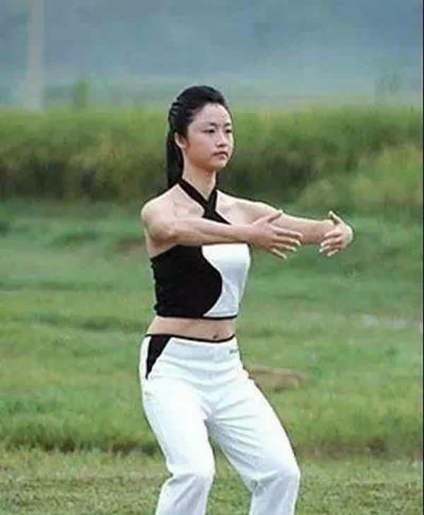 洗髓经 易筋经