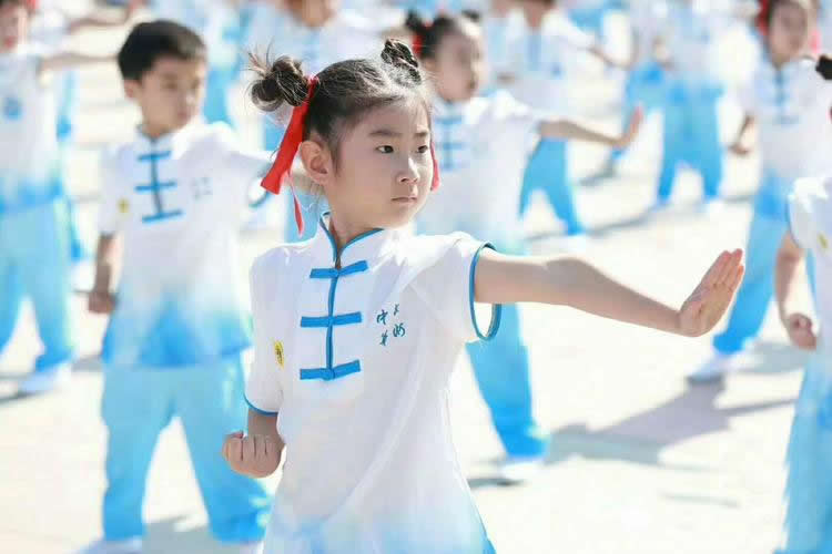 洗髓经 易筋经