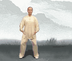 养生课 养生
