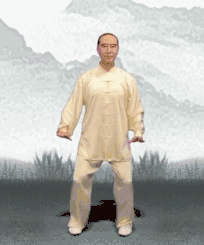 养生课 养生