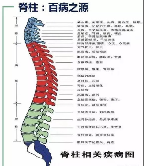 养生课 养生