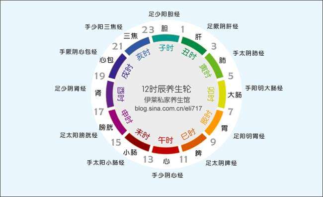 养生课 养生