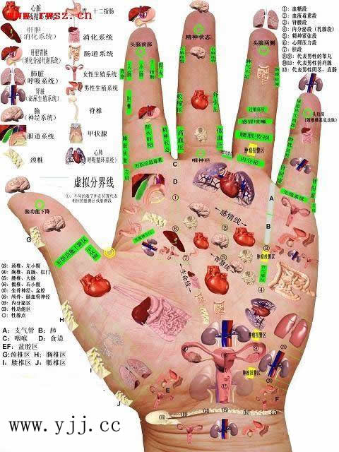 养生课 养生