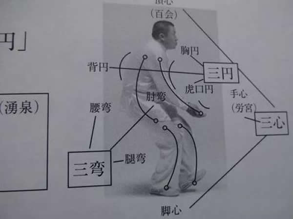 养生课 养生