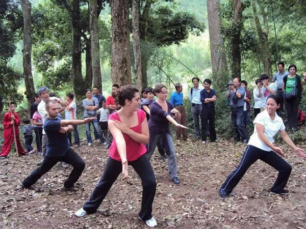 养生课 养生