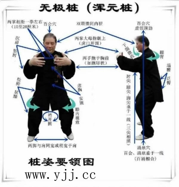 养生课 养生